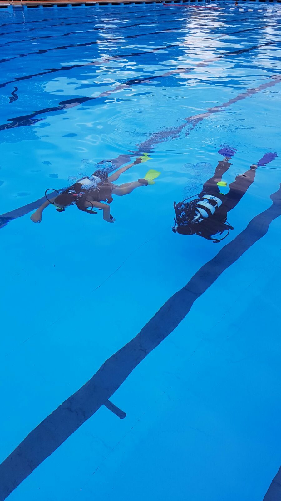 Schnuppertauchen im Schwimmbad
