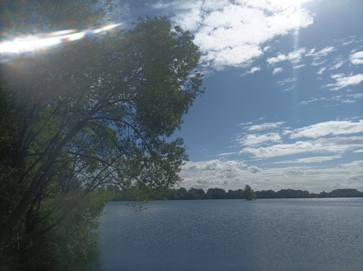 Weiter Blick über den Möwensee in Nordhausen bei sonnigem Himmel