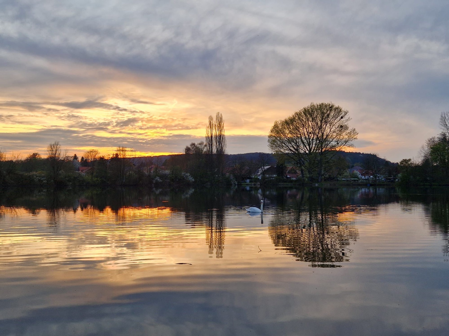 Vereinssee Klein Schneen bei Göttingen im Abendlicht, ein Schwan auf dem Wasser